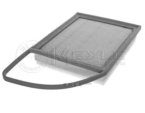 OEM FILTER ASSY, AIR ELEMENT 11123210019