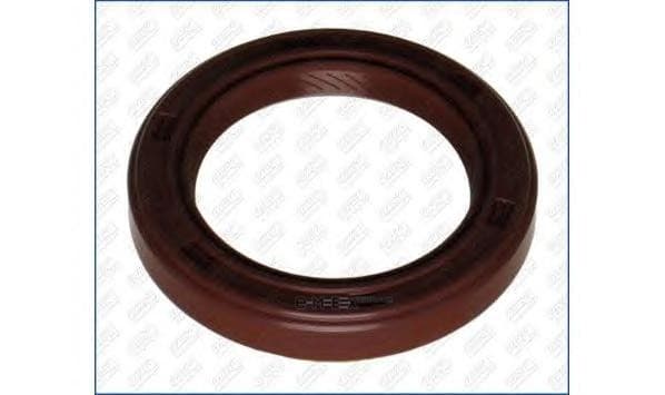 OEM SEAL RING 15013300