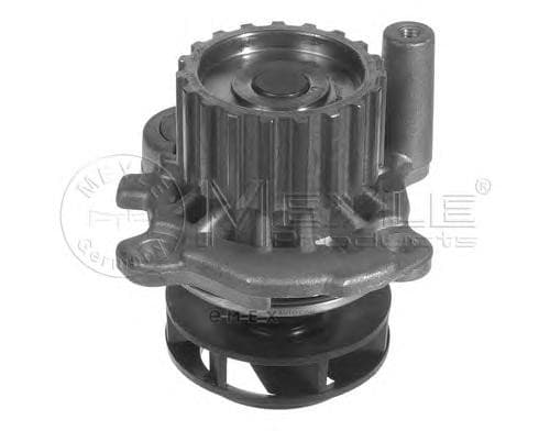 OEM WATER PUMP 1130120037