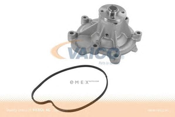 OEM WATER PUMP W203 V3050053