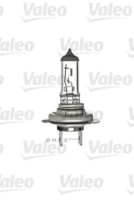 OEM LIGHT BULB 032519