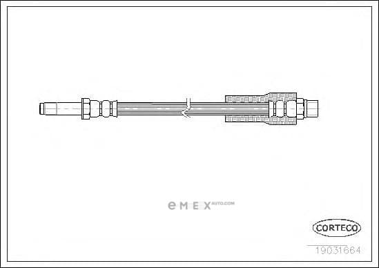 OEM 19031664