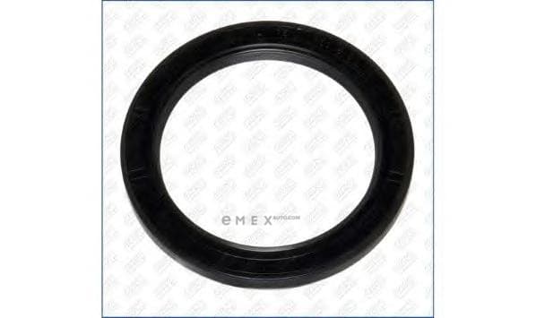 OEM SEAL 15034400