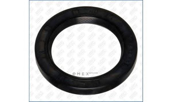 OEM SEAL RING 15060500