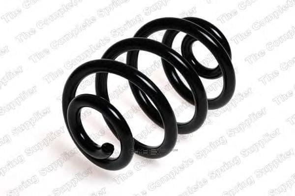 OEM COIL SPRING 4208432