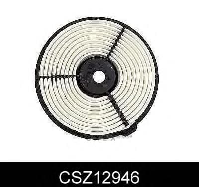 OEM FILTER ASSY, AIR ELEMENT CSZ12946