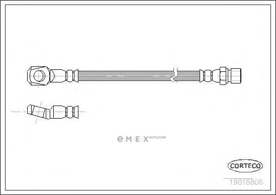 OEM 19018806