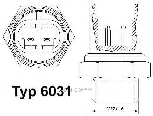 OEM 6031100D