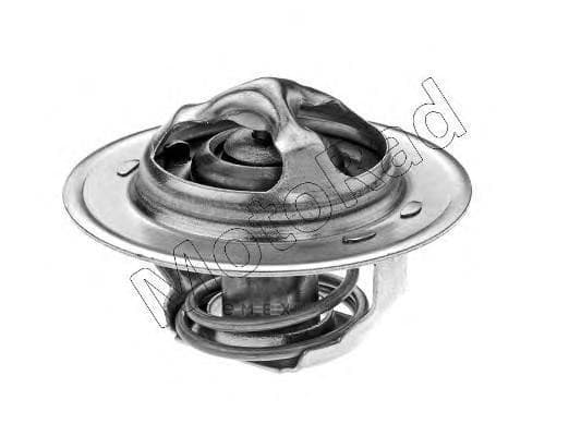 OEM Thermostat, coolant 200082