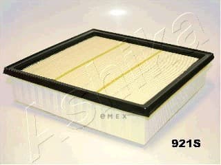 OEM FILTER ASSY, AIR ELEMENT 2009921