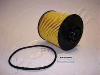 OEM FILTER ASSY, FUEL PUMP 30ECO003