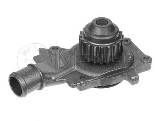 OEM WATER PUMP 7130010004