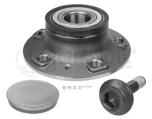 OEM WHEEL HUB WITH BRG FRT/A4/A5/A 1006500011