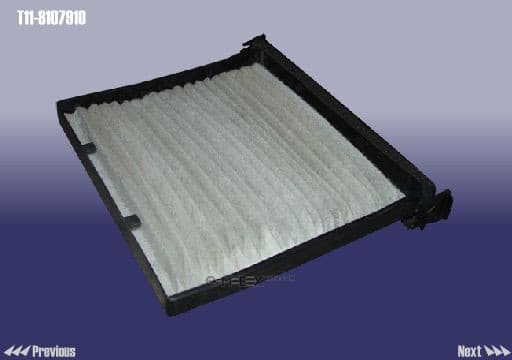 OEM AIR FILTER CORE T118107910