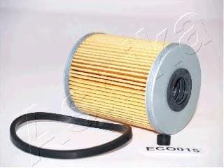 OEM FILTER ASSY, FUEL PUMP 30ECO015