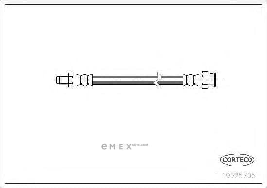 OEM 19025705