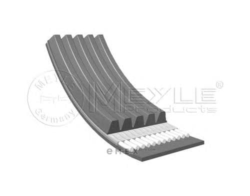 OEM RIBBED BELT 0500051005