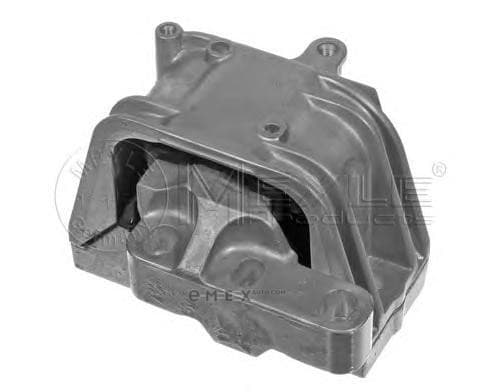 OEM Engine Mounting 1001990112