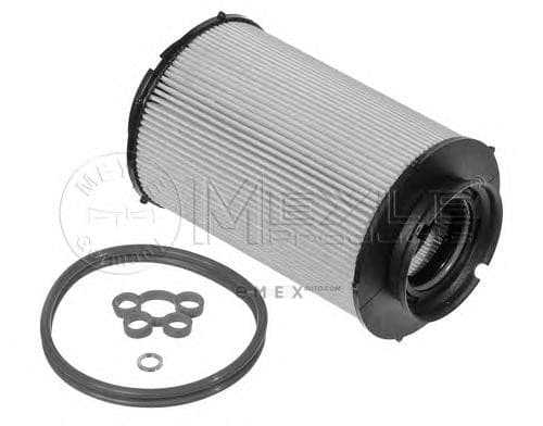 OEM FILTER ELEM 1002010012