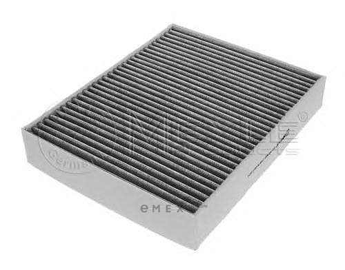 OEM CAB AIR CARBON FILTER-3(F30/F3 3123200021