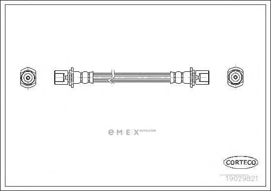 OEM 19029821