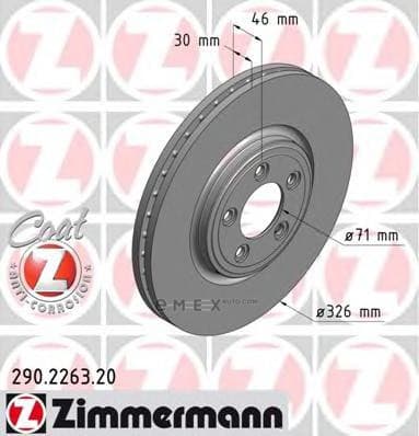 OEM BRAKE ROTOR 290226320