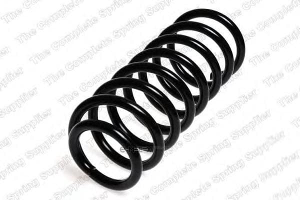 OEM COIL SPRING 4256809