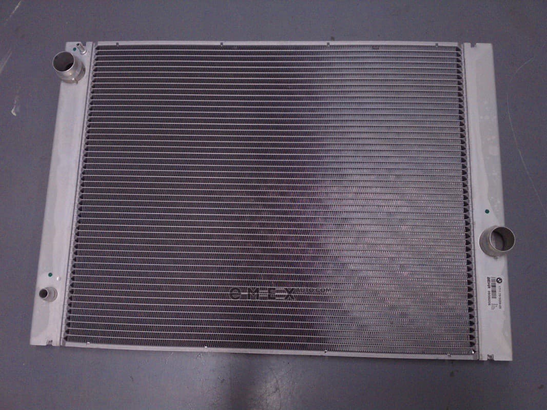 OEM Radiator 17117519209