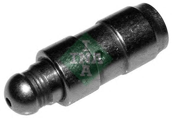 OEM VALVE LIFTER 420017210