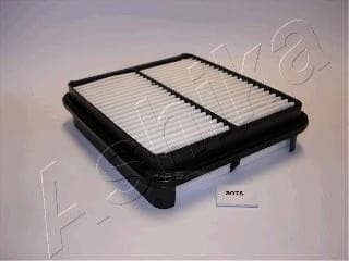 OEM FILTER ASSY, AIR ELEMENT 2008897