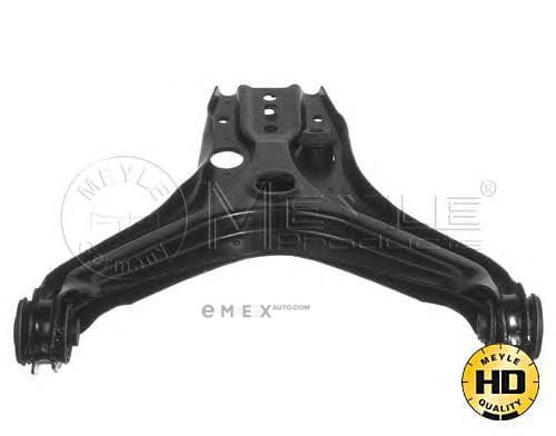 OEM ARM ASSY, SUSPENSION 1160500131HD