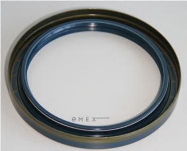 OEM SEAL100X125X13A/BSNBR 12015406B