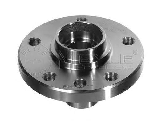 OEM WHEEL HUB 1005010017