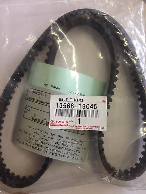 OEM BELT, TIMING 1356819046