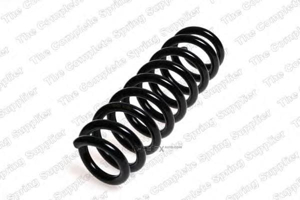 OEM COIL SPRING 4208455