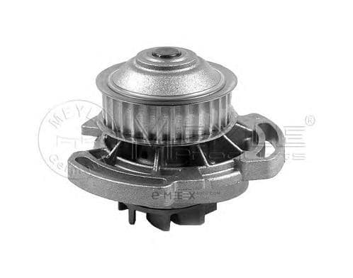 OEM WATER PUMP 1130120002