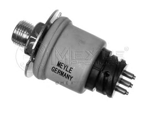 OEM SENSOR ASSY, OIL PRESSURE 12148200000