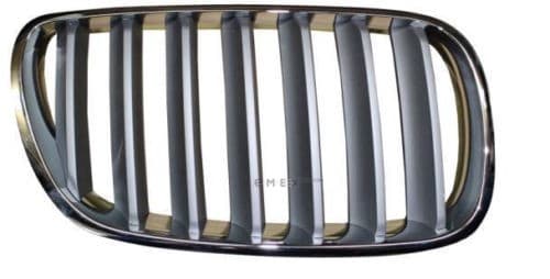 OEM Grille, front, right 51113420092