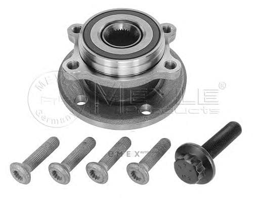 OEM WHEEL HUB ASSY 1006500005