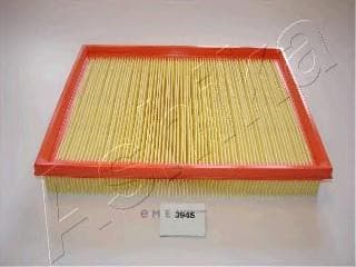 OEM FILTER ASSY, AIR ELEMENT 2003394