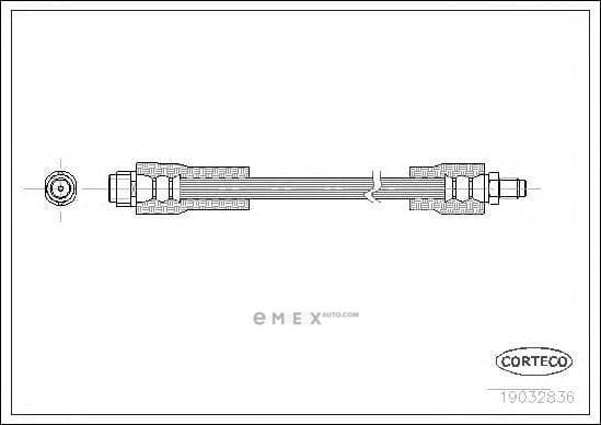 OEM 19032836