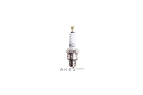 OEM SPARK PLUG L82CT10