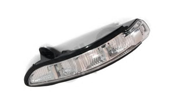 OEM LAMP ASSY, TURN SIGNAL 3094001