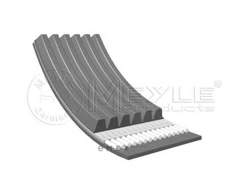 OEM RIBBED BELT 0500062080