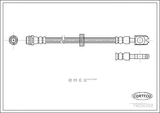 OEM 19026392