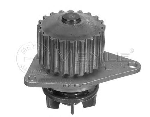 OEM WATER PUMP 11130120723