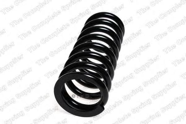 OEM COIL SPRING 4256869