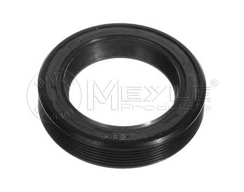 OEM OIL SEAL DGS 32X47X10 W FPM 1001030100