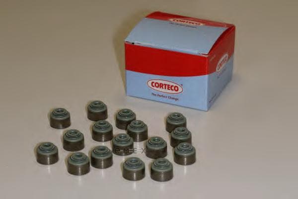 OEM SEAL KIT, VALVE STEM OIL 19036040