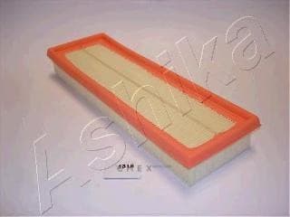 OEM FILTER ASSY, AIR ELEMENT 2001131